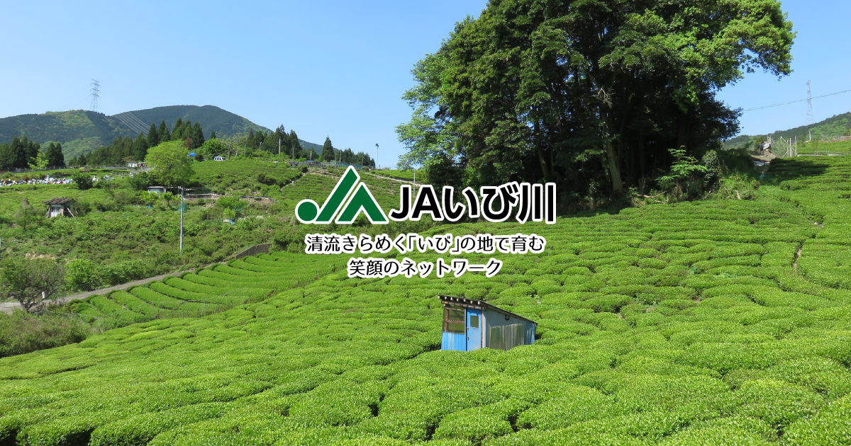 美濃いびジェラートの外観